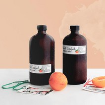 제철그대로 플럼코트 코디얼 살구시럽 사탕수수원당 레몬즙 100% 원물, 플럼코트코디얼, 1병, 550ml