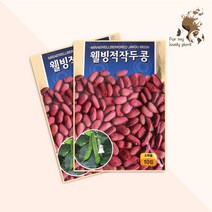 웰빙적작두콩 10립 미래종묘 열매채소류 씨앗