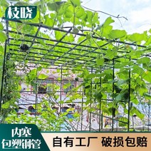 야채 선반 등산 등나무 플라스틱 포장 오이 포도 수세미 식물 브래킷 아치 꽃 랙 등반 pergola 식물 지원 막대, 지름 20mm 길이 150cm, 중간