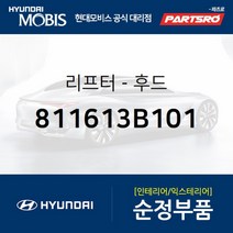 본네트 리프터(쇼바) (811613B101)-현대모비스 부품 공식대리점 온라인쇼핑몰 파츠로 에쿠스