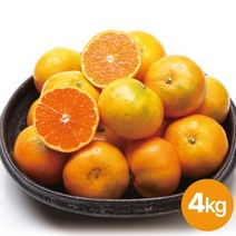[KT알파쇼핑]제주농협 귤로장생 하우스 감귤 4kg