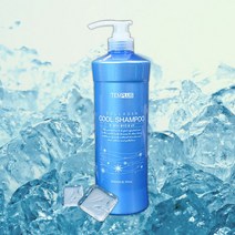 템플러스 콜라겐 쿨샴푸, 1000ml, 1개