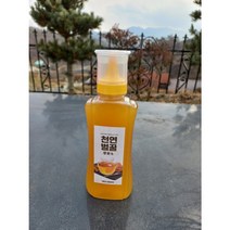 잡화꿀2.4kg 양봉농가가 직접 판매하는 100%천연잡화꿀, 500g