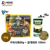 구피사료66g + 알게와퍼100ml 세트 구피먹이 안시밥 코리도라스사료 바닥물고기 코리 비파, 2세트