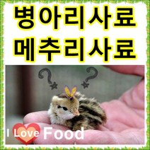 [어린병아리] 병아리사료 1kg 소분판매전문, 산란닭 칼슘 200g