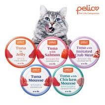 펠리코 고양이 간식캔 95g *24개, 캣 참치치킨순살무스 캔 95g*24개