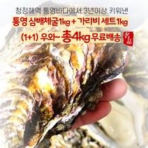 청정통영 대왕굴(삼배체굴2kg+홍가리비2kg 모듬세트 캠핑 안주 간식 3년이상을 키워낸 대왕 굴, 삼배체2kg(20미내외) ＋ 홍가리비2kg(50미내외)