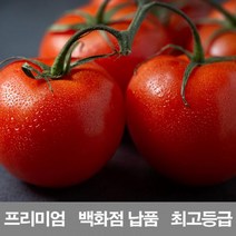 [ClDS-212]영화청과 국내산 토마토 10kg 프리미엄 백화점 남품 요리 즙 키우기 재배