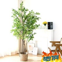 조화나무 인조 화분 인테리어 조경 꽃화분 자작 -, 자작나무180cm