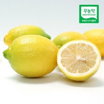 제주 무농약 레몬 국산레몬 5kg, 단품