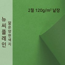 뉴씨플레인 종이문화 얇은 양면색지 120g 2절 낱장 1매 No.60 초록, 1장
