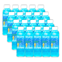 OKF 알카라인워터 500ml x 20 알카리수 알칼리수 미네랄워터 마그네슘물, OKF 알카라인워터 500ml x 20개