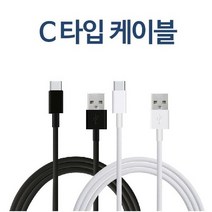 삼성전자 C타입 고속 충전 케이블 EP-DG930M, 화이트, 2개