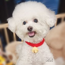 알알 핸드메이드 뜨개 방울 목걸이