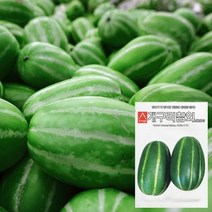 바보사랑 개구리참외 씨앗 (50립) 참외씨앗 과일씨앗 수박.화분월드