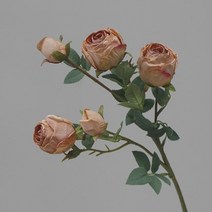 원더풀라이프 드라이 장미 조화 10송이, 살구색