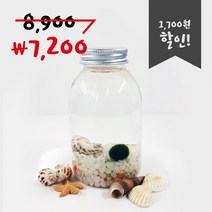 미니가든 마리모 키우기 우유플(대) 어항만들기 DIY세트 체험학습, 색돌2.민트