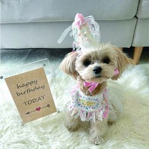 [이거찜]반려견 반려묘 생일파티 고깔모자 케이프 세트, 반려동물 생일파티 고깔 케이프 세트 핑크_M