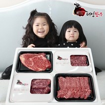 1++한우선물세트 마장동 소고기 투뿔 구이용 꽃등심 살치 채끝 안심 명절 추석 새해 설 선물, 흑호세트