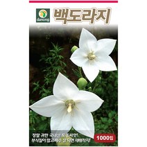 다농 산천 왕까마중 50립 - 씨 씨앗 까마중씨앗 까마중씨 강태 깜두라지 용규 나물씨앗 민속채소 채소씨 채소씨앗, 19_다농_백도라지(1000립)