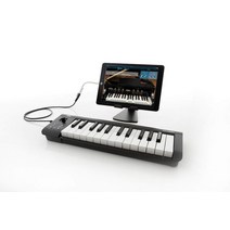 KORG 스테디셀러 USB MIDI 키보드 microKEY-25 음악 제작 DTM 공간 절약으로 자택 제작에 최적 곧 시작할 수 있는 소프트웨어 라이센스 포함 25열쇠
