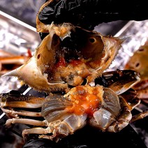 냉동꽃게 암게 라운드 삼점게 급냉 암꽃게, 3kg, 1개