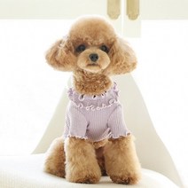 [갤러리아] 꼴레트멍멍치즈 강아지티셔츠 마이리틀독, 핑크