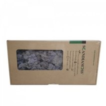 천연이끼 스칸디아모스 바이올렛(150g) - 공기정화 기능 관리쉽고 그늘에서도 잘 자라는 인테리어 식물 취미 원데이 클래스 디퓨저 화분 만들기(4개 이상 주문배송)