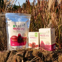 100% 제주 백년초 당뇨 관절 건강 영양제 환 200g & 분말 500g