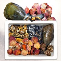 [식품의전당] 캠핑 모듬 가리비 조개구이 조개찜 조개탕 세트 밀키트 2kg 4kg 4인 5 ~ 6인용, 1.캠핑 모듬조개세트(중)