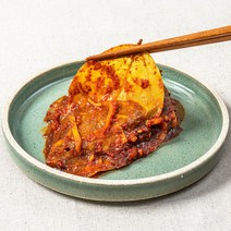 초록들 매실 콩잎지 양념무침(250g/500g/1kg) 콩잎김치 콩잎장아찌 맛있는 수제반찬, 500g, 1개