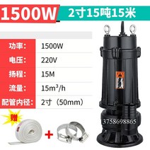 1마력 양수기 수중모터 농업 전동 오물 원예 배수펌프, 1500W 2 인치 구경 220V