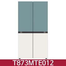 LG T873MTE012 디오스 오브제컬렉션 870L 냉장고 베이직 클레이민트 + 베이지 / KN