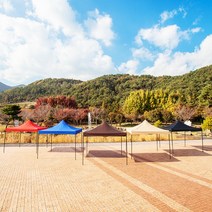 DZB 캐노피 천막 골조+지붕 접이식 포장마차 바람막이 야외 실내 테라스 옥상 그늘막 텐트 행사용, DZ천막2.5X2.5 커피
