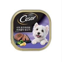 밥투정강아지 특별식 특별캔간식 기력회복 고단백 장건강 집에있는강쥐