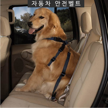 잔량덤핑 훈련 차량 애완견 자동차 강아지 안전벨트, 옐로우