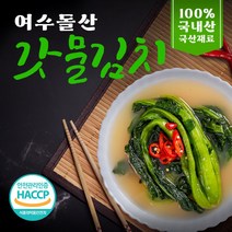 [자연정원] 전라도 갓김치 / 100% 우리 농산물 전라도 김치, 2kg