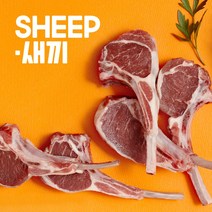어린양 양갈비 SHEEP새끼 스프링램 캠핑 프렌치렉
