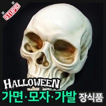 스투피드 할로윈 장식 분장용품, B15.해골 모형 (두개골)