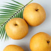 맛콤과일 나주배 (가정용/특품/선물세트) 산지직송, 가정용 15kg (25과내)