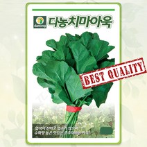 아욱 씨앗 10g 쌈 채소 종자 씨 봄 여름 가을 아욱씨 DN