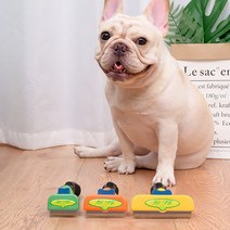 고양이빗 6종 쉐드킬러 고양이털제거 강아지빗, 소형견 단모형, 소형견 단모형