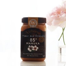 뉴질랜드 에어본허니 천연 마누카 꿀 85+500g, 500g, 1병
