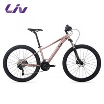 LIV 학생용 알루미늄 합금 30 단 서스펜션 유압 디스크 브레이크 산악 자전거 자이언트mtb산악 스타일 style, C30단, 27.5인치