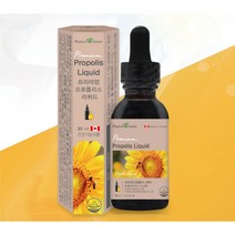 캐나다 프로폴리스 리퀴드 액상 구강 프로폴리스 30ml