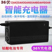 주행충전기 인산철 주행 충전기 이동형 배터리 자동차 오토바이납산 전기 36v12ah 원형 구멍 36볼트 20ah3 리튬 3 구식 자전거, 맞춤형 리튬 배터리 36v10a 플러그
