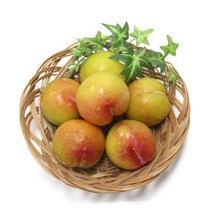 가을 추희 자두 2kg내외(80g내외), *I181_가을 추희 자두 2kg내외(80g내외), 1개, 상세페이지 참조