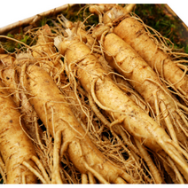 [세척] 전세계인정 국내산 금산인삼 정품 인삼 5년근 6년근 수삼 난발삼 원수삼 가족 보양식 원기회복 부모님 건강 선물 인삼주 삼계탕 인삼꿀절임 담금주, 세척 난발삼소 750g(15~19뿌리), 1개