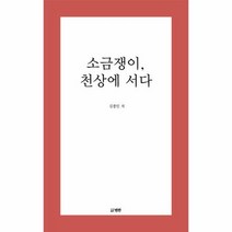 소금쟁이 천상에 서다 - 김종민, 단품, 단품