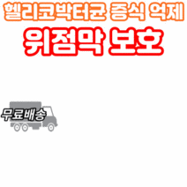 식약처 인증 헬리코박터균 증식 억제 위 점막 벽 보호 건강엔 스페인 감초 추출물 뉴트리가든 비타민 A C E 영양제 미네랄 아연 셀렌 함유 면역 식약청 인정 직장인 학생 프리미엄, 30캡슐x5박스 5개월